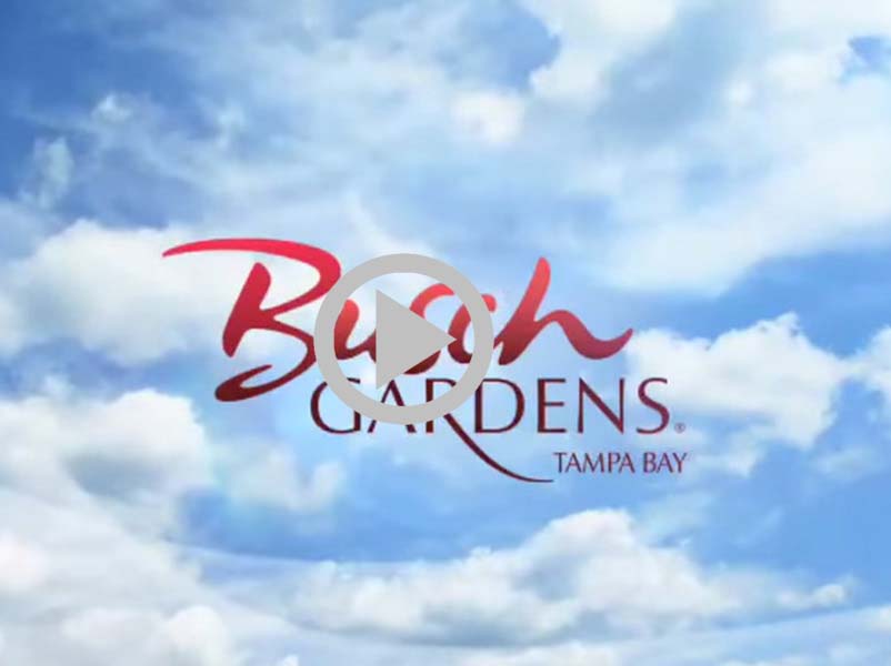 Busch Garden Videos