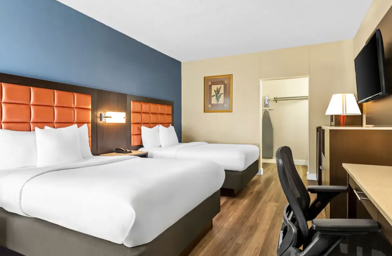 Hotel Single Bedroom